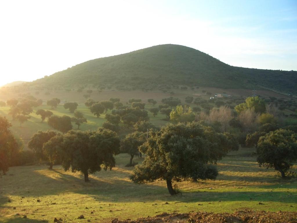 Cortijo El Criadero El Hoyo ห้อง รูปภาพ