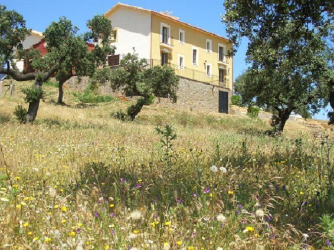 Cortijo El Criadero El Hoyo ภายนอก รูปภาพ